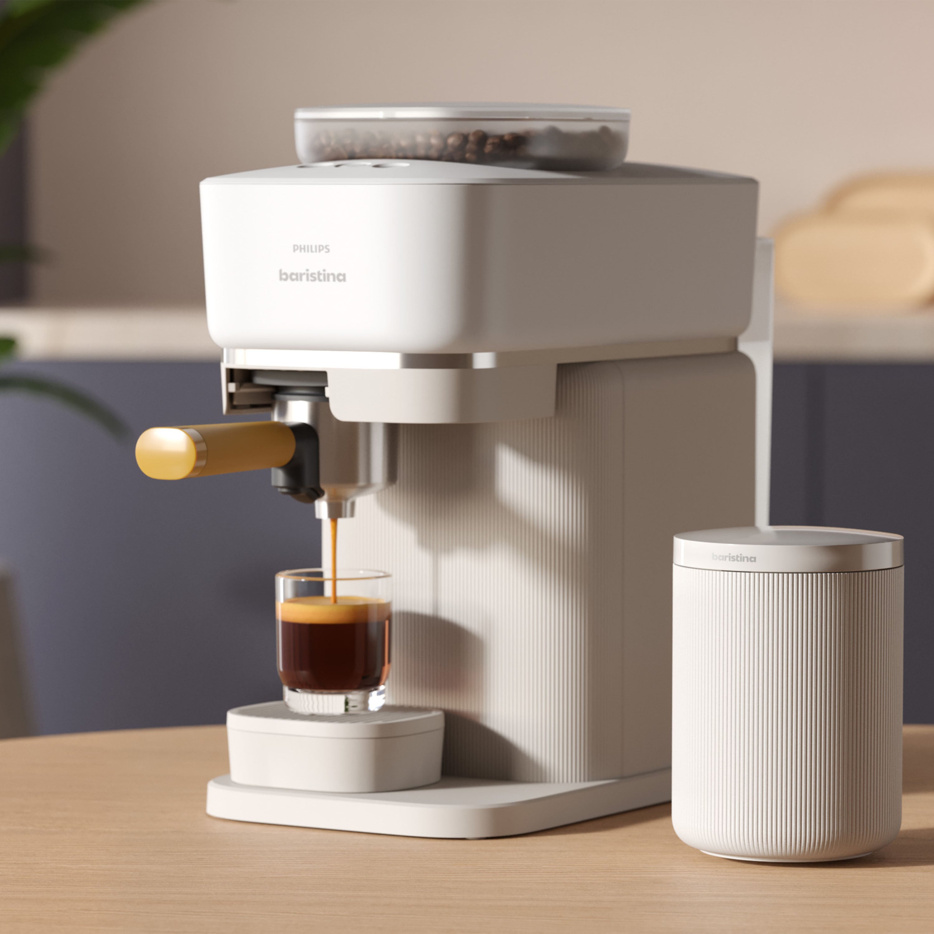 Baristina with Grounds Bin