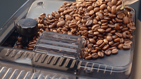 How to brew ground coffee with your 5500?